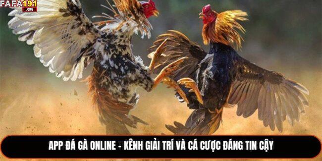 App Đá Gà Online