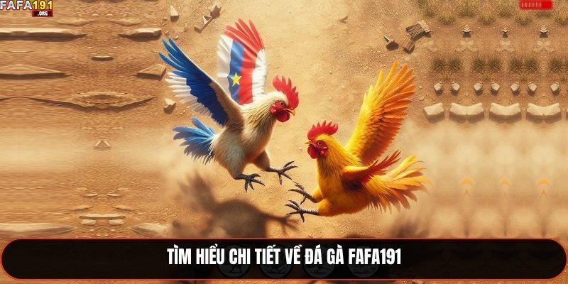 Tìm hiểu chi tiết về đá gà Fafa191