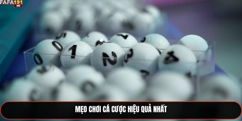 Mẹo chơi cá cược hiệu quả nhất